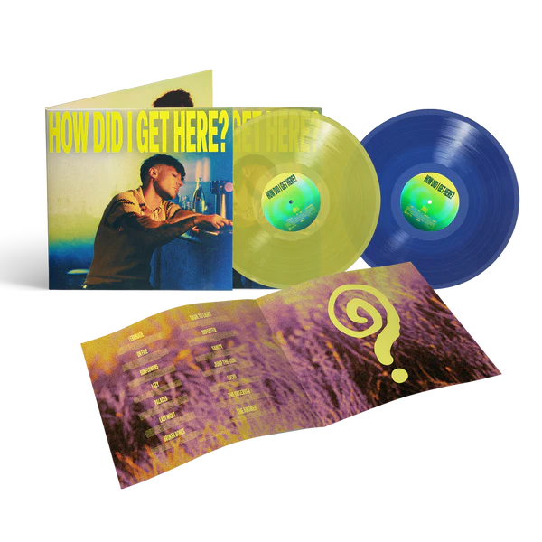 HOW DID I GET HERE? DELUXE DOUBLE VINYL