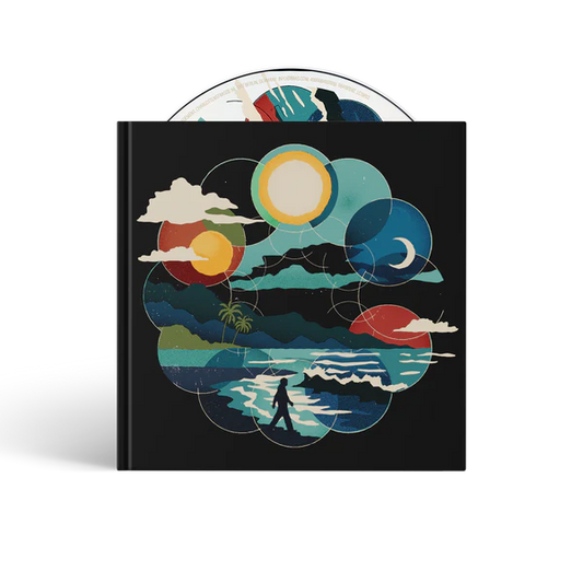 HOW DID I GET HERE? ALTERNATE COVER CD