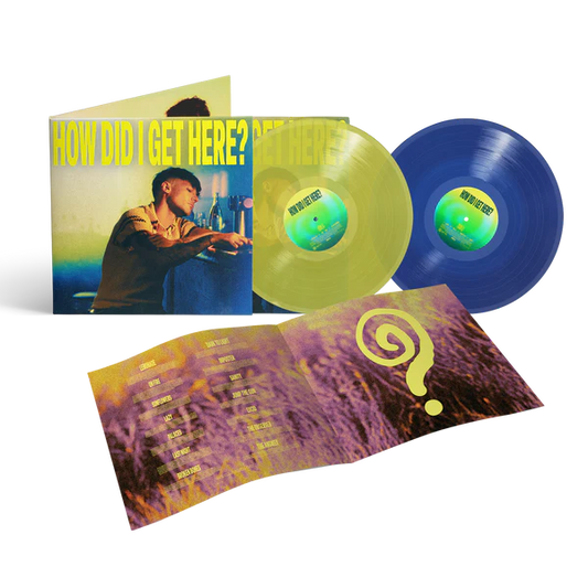 HOW DID I GET HERE? DELUXE DOUBLE VINYL